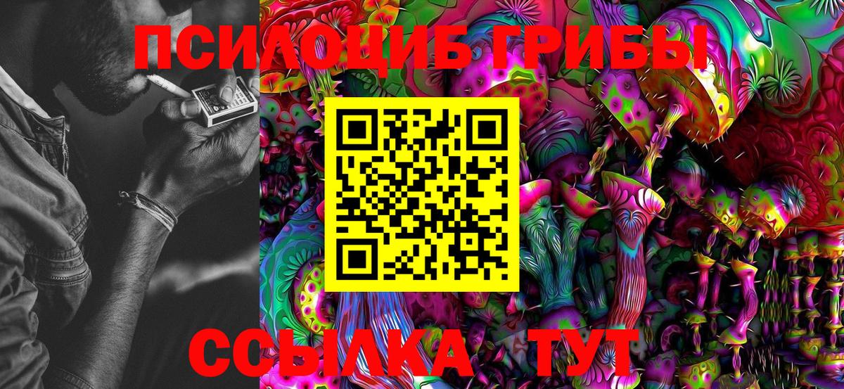 Новоалександровск  Псилоцибиновые грибы MAGIC MUSHROOMS  Вход с VPN  Галлюциногенные грибы прущие грибы 